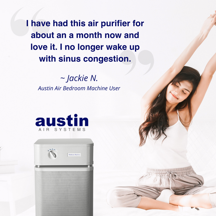 Austin Air Bedroom Air Purifier